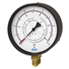 Differential pressure gauge
